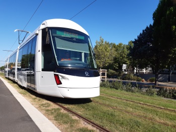 Première ligne du tramway à Avignon.jpg